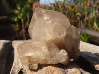 Natural Small Cascading White Phantom Smokey Quartz Crystals x 35 From Luena, Congo