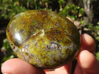 Polished Green Opal Palm Stones  x 12 From Antsirabe, Madagascar - Toprock Gemstones and Minerals 