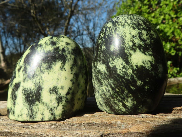 Polished Green Leopard Stone Standing Free Forms  x 12 From Zimbabwe - Toprock Gemstones and Minerals 