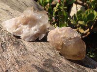 Natural Small Cascading White Phantom Smokey Quartz Crystals x 35 From Luena, Congo