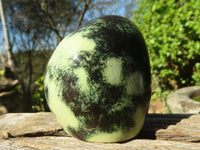 Polished Green Leopard Stone Standing Free Forms  x 12 From Zimbabwe - Toprock Gemstones and Minerals 