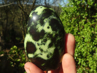 Polished Green Leopard Stone Standing Free Forms  x 12 From Zimbabwe - Toprock Gemstones and Minerals 