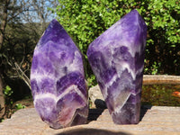 Polished Deep Purple Chevron Amethyst Points  x 2 From Zambia - Toprock Gemstones and Minerals 