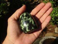 Polished Green Leopard Stone Standing Free Forms  x 12 From Zimbabwe - Toprock Gemstones and Minerals 