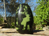 Polished Green Leopard Stone Standing Free Forms  x 12 From Zimbabwe - Toprock Gemstones and Minerals 