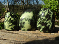 Polished Green Leopard Stone Standing Free Forms  x 12 From Zimbabwe - Toprock Gemstones and Minerals 