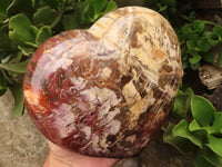 Polished Extra Large Petrified Wood Heart  x 1 From Madagascar - TopRock