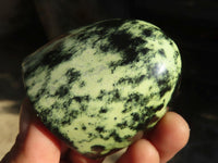 Polished Green Leopard Stone Standing Free Forms  x 12 From Zimbabwe - Toprock Gemstones and Minerals 