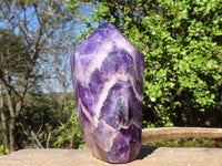 Polished Deep Purple Chevron Amethyst Points  x 2 From Zambia - Toprock Gemstones and Minerals 