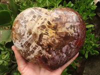 Polished Extra Large Petrified Wood Heart  x 1 From Madagascar - TopRock