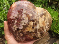 Polished Extra Large Petrified Wood Heart  x 1 From Madagascar - TopRock