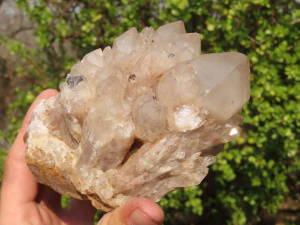 Natural Smokey Quartz Cluster x 1 From Luena, Congo