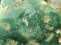 Polished One Side Polished Emerald Mtorolite Plates  x 6 From Mutorashanga, Zimbabwe