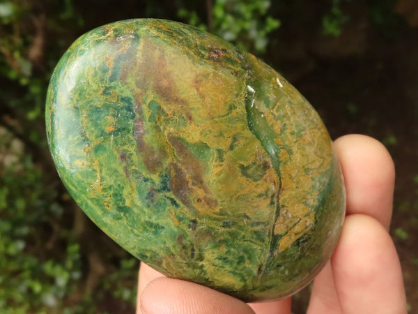 Polished Green Verdite Palm Stones  x 12 From Zimbabwe - TopRock