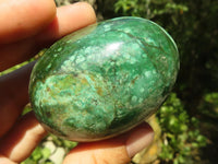 Polished Green Verdite Palm Stones  x 12 From Zimbabwe - TopRock