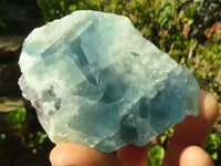 Polished  One Side Polished Watermelon Fluorite Pieces  x 12 From Uis, Namibia