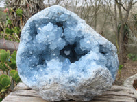 Natural Blue Celestite Geode Specimen  x 1 From Sakoany, Madagascar