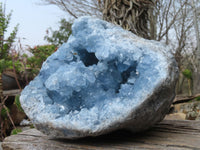 Natural Blue Celestite Geode Specimen  x 1 From Sakoany, Madagascar