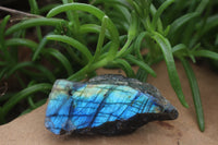 Polished One Sided Labradorite Flashy Specimens x Sold per 1 Kg -  From Tulear, Madagascar - TopRock