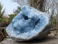 Natural Blue Celestite Geode Specimen  x 1 From Sakoany, Madagascar