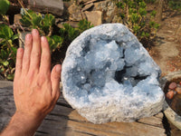 Natural Blue Celestite Geode Specimen  x 1 From Sakoany, Madagascar