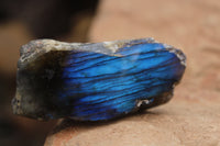 Polished One Sided Labradorite Flashy Specimens x Sold per 1 Kg -  From Tulear, Madagascar - TopRock