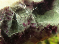 Polished  One Side Polished Watermelon Fluorite Pieces  x 12 From Uis, Namibia