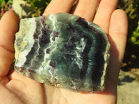 Polished  One Side Polished Watermelon Fluorite Pieces  x 12 From Uis, Namibia