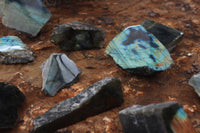 Polished One Sided Labradorite Flashy Specimens x Sold per 1 Kg -  From Tulear, Madagascar - TopRock