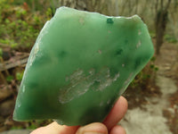 Polished One Side Polished Emerald Mtorolite Plates  x 4 From Zimbabwe