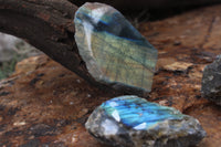 Polished One Sided Labradorite Flashy Specimens x Sold per 1 Kg -  From Tulear, Madagascar - TopRock