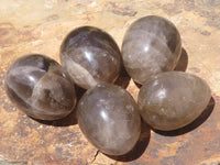 Polished Large Smokey Morion Quartz Eggs x 5 From Madagascar - TopRock