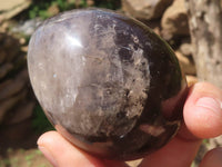 Polished Large Smokey Morion Quartz Eggs x 5 From Madagascar - TopRock