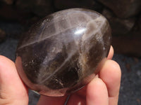 Polished Large Smokey Morion Quartz Eggs x 5 From Madagascar - TopRock