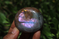 Polished Lovely Labradorite Gallets / Palm Stones x Sold per 1 Kg -  From Tulear, Madagascar - TopRock