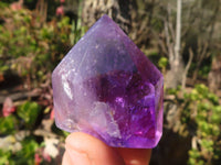 Polished Gorgeous Window Amethyst Crystals x 12 From Ankazobe, Madagascar