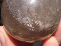 Polished Large Smokey Morion Quartz Eggs x 5 From Madagascar - TopRock