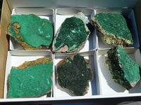 Natural Malachite Crystalline Specimens x 6 From Tenke Fungurume, Congo - TopRock