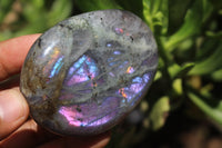 Polished Lovely Labradorite Gallets / Palm Stones x Sold per 1 Kg -  From Tulear, Madagascar - TopRock