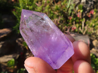 Polished Gorgeous Window Amethyst Crystals x 12 From Ankazobe, Madagascar