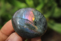 Polished Lovely Labradorite Gallets / Palm Stones x Sold per 1 Kg -  From Tulear, Madagascar - TopRock