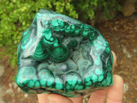 Polished Malachite Free Forms x 3 From Kolwezi, Congo