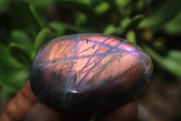 Polished Lovely Labradorite Gallets / Palm Stones x Sold per 1 Kg -  From Tulear, Madagascar - TopRock