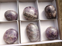 Polished Extra Large Dream Amethyst Palm Stones  x 6 From Madagascar - TopRock