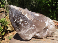 Natural Extra Large Smokey Quartz Cluster  x 1 From Madagascar - TopRock