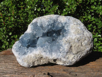 Natural Large Exceptional Celestite Geode Specimen x 1 From Sakoany, Madagascar - TopRock