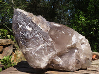 Natural Extra Large Smokey Quartz Cluster  x 1 From Madagascar - TopRock