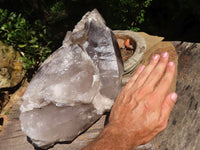 Natural Extra Large Smokey Quartz Cluster  x 1 From Madagascar - TopRock