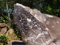 Natural Extra Large Smokey Quartz Cluster  x 1 From Madagascar - TopRock