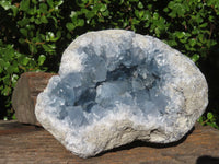 Natural Large Exceptional Celestite Geode Specimen x 1 From Sakoany, Madagascar - TopRock